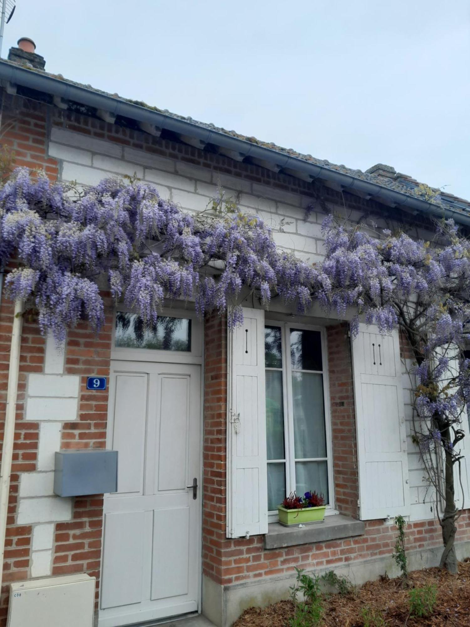 Gite, Maison A La Campagne Ardennes, Aisne,Marne Le Thour Quarto foto